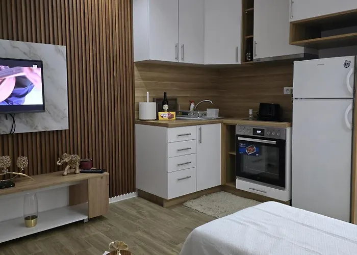 Stan Na Dan Ivana Lejlighed Smederevska Palanka